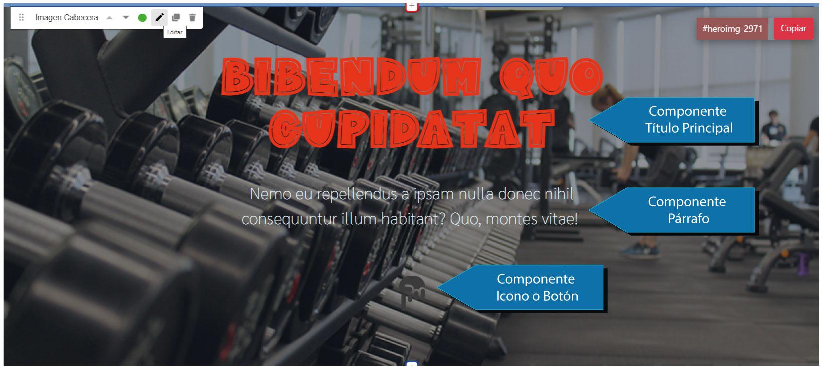 Drupal Landing Maker by Drupaladicto | www.landingmaker.es